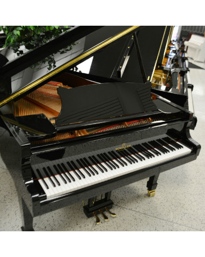 Schiller Concert Series 5.10 Grand Piano