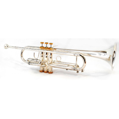 Schiller American Heritage Riviera Trumpet