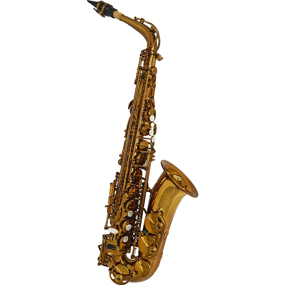 Schiller Elite V Alto Saxophone Decade Aged Vintage Gold Finish