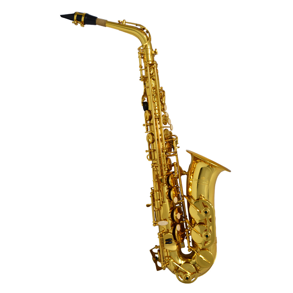 Schiller American Heritage 400 Alto Saxophone - Gold Lacquer
