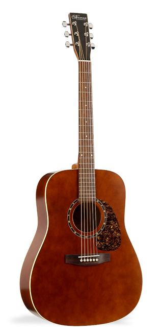 Norman B15 Brown Acoustic Guitar