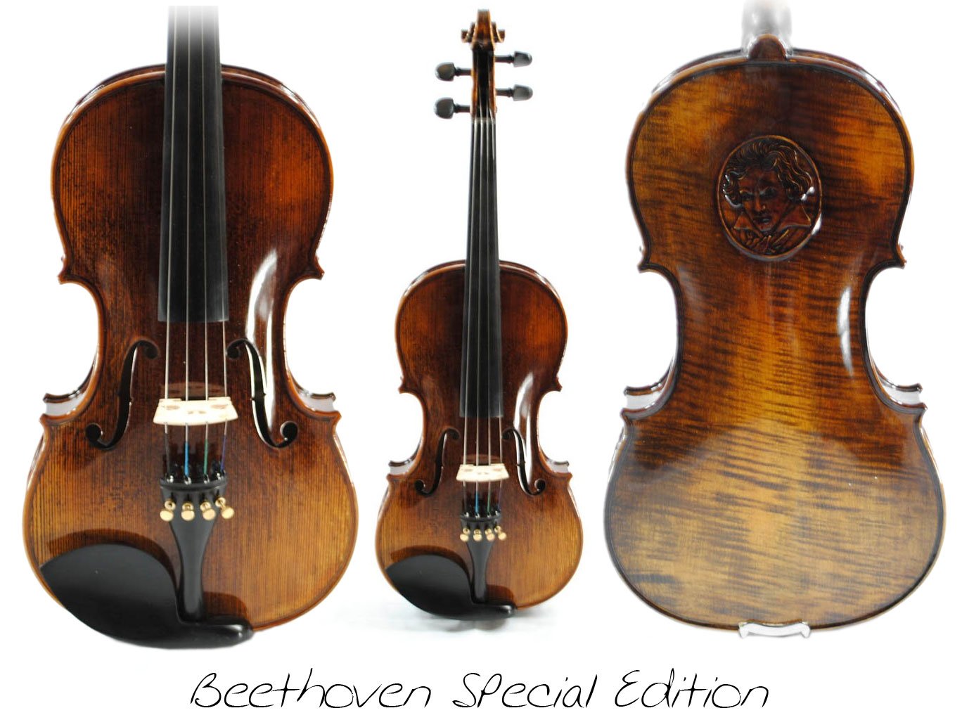 Vienna Strings Beethoven Special Edition Violin