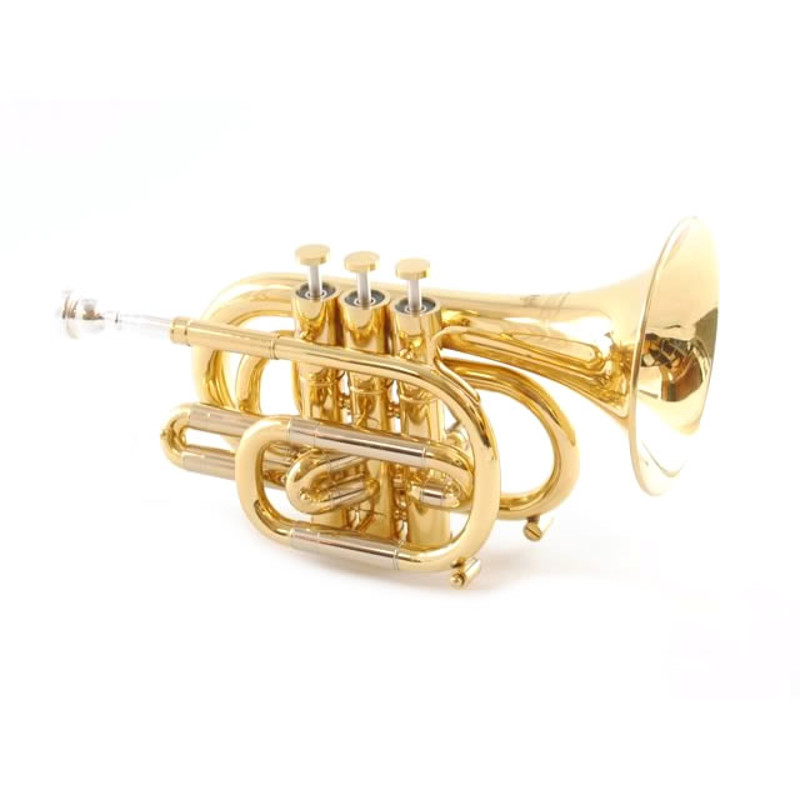 Georgetown MusicAllora 150 Series Pocket Trumpet