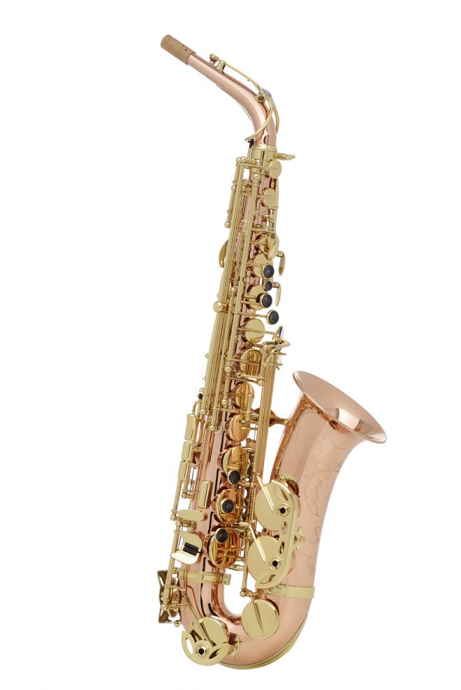 Buffet Crampon Model BC2525-1 Alto Sax in brushed finish 