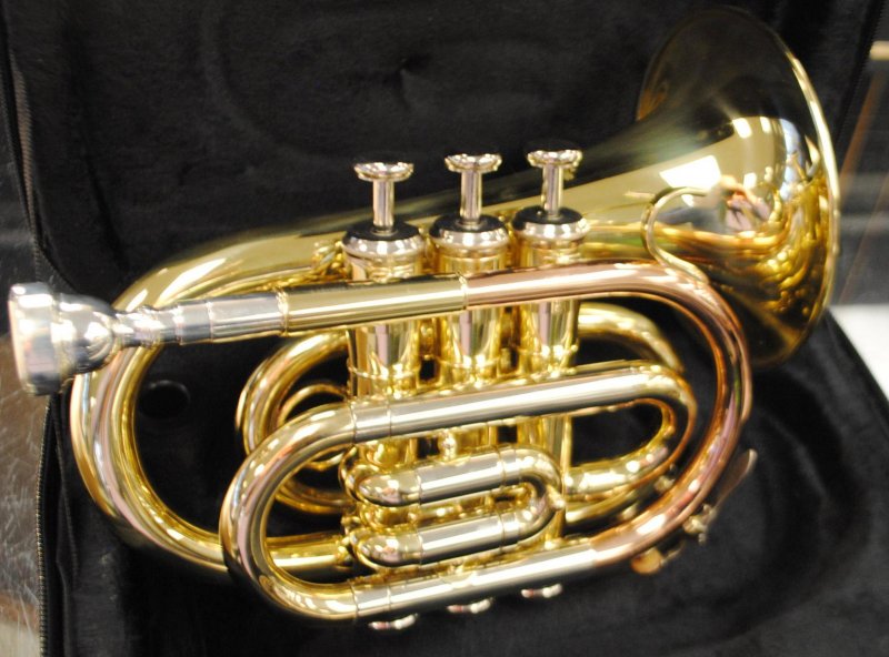 Schiller Pocket Trumpet