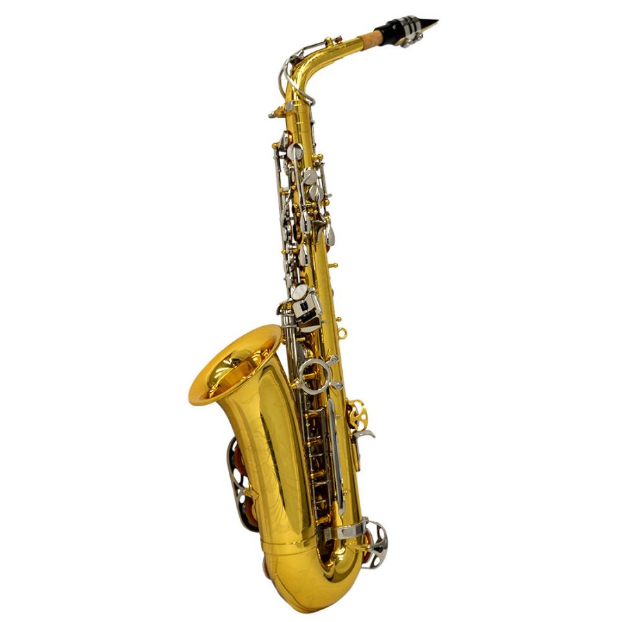 Schiller American Heritage 400 Alto Saxophone - Nickel Silver and Gold
