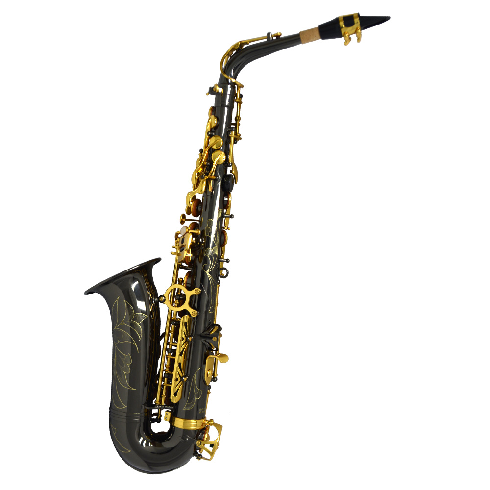 Schiller American Heritage 400 Alto Saxophone - Electro-Black and Gold