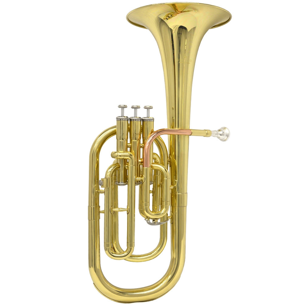 Schiller Edinburg Pro Alto Horn