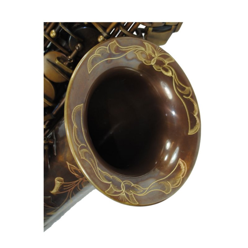 Schiller Elite IV Alto Saxophone - Vintage Gold