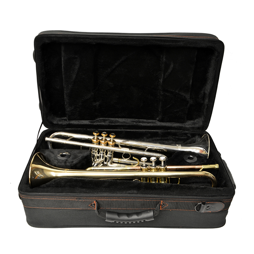 Schiller Voyage Double Trumpet Case