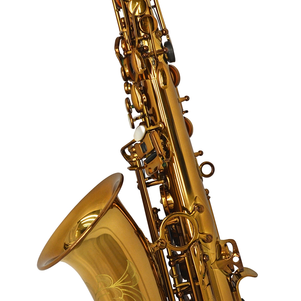 Schiller Elite V Alto Saxophone Decade Aged Vintage Gold Finish