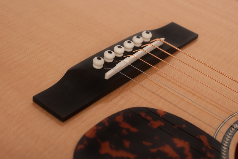 Larrivée OM-60 Traditional Series Acoustic Guitar