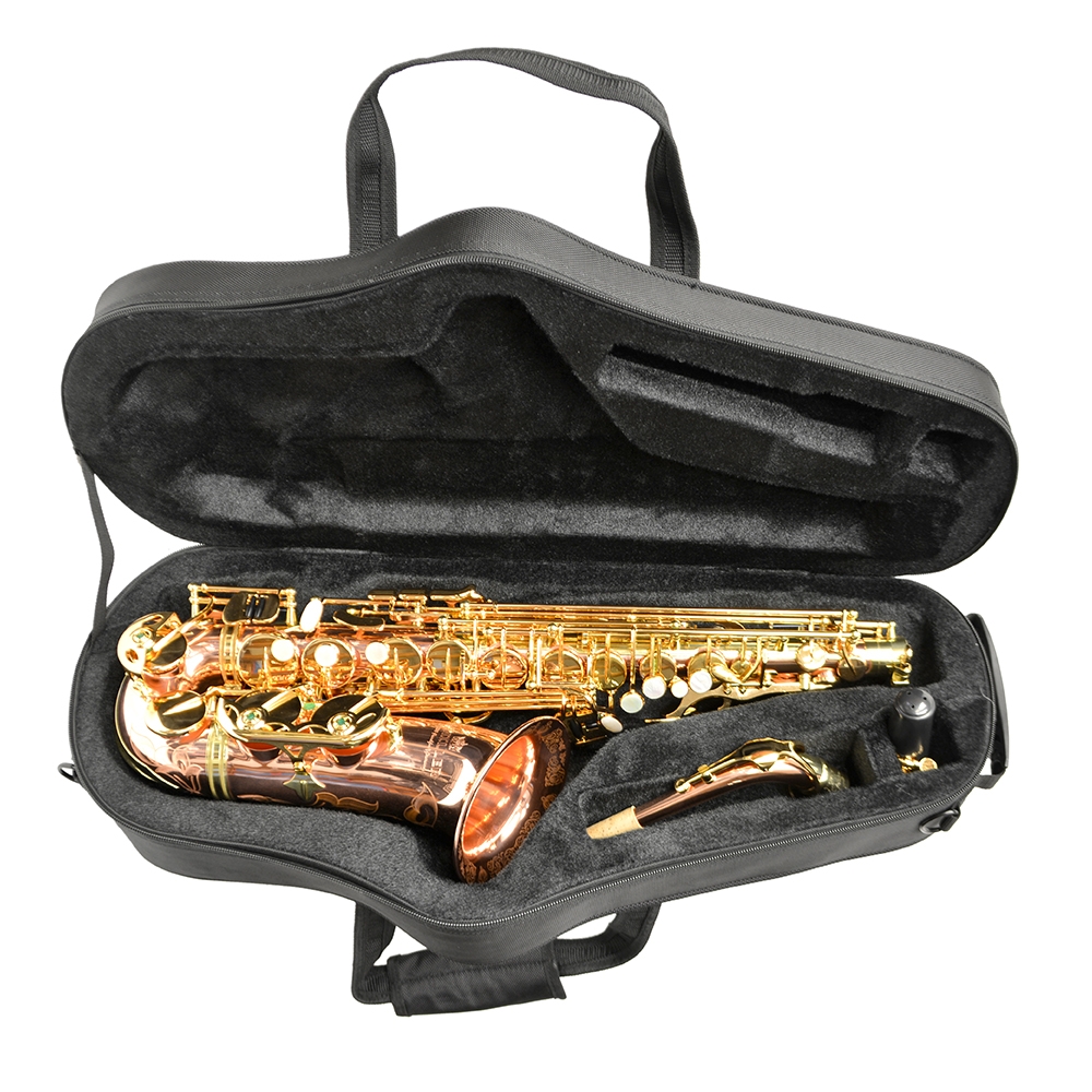 Schiller Voyag Saxophone Case - Shaped