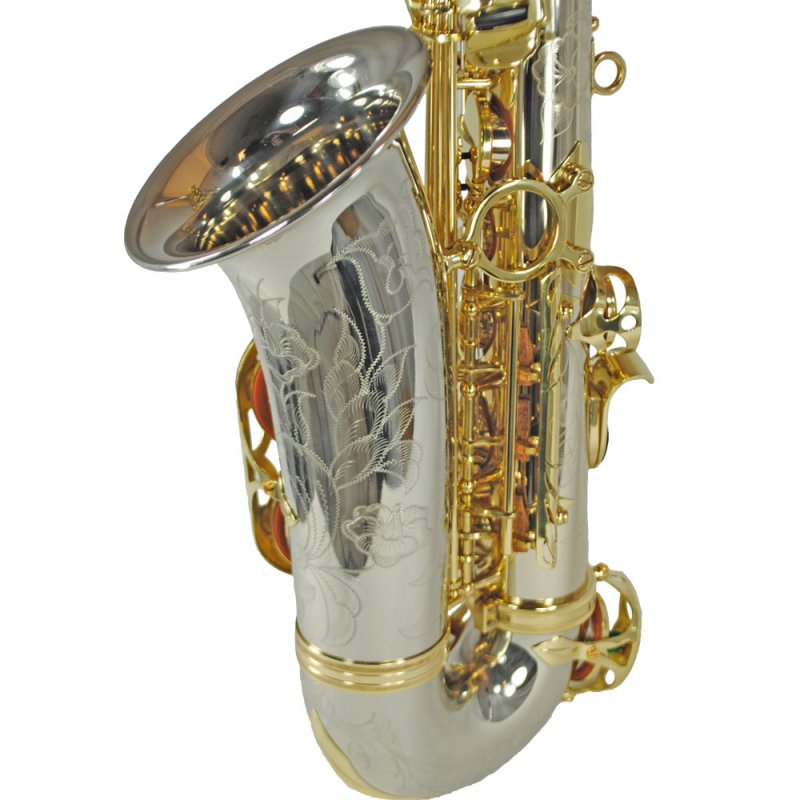 Schiller Elite V Alto Saxophone Silver & Gold