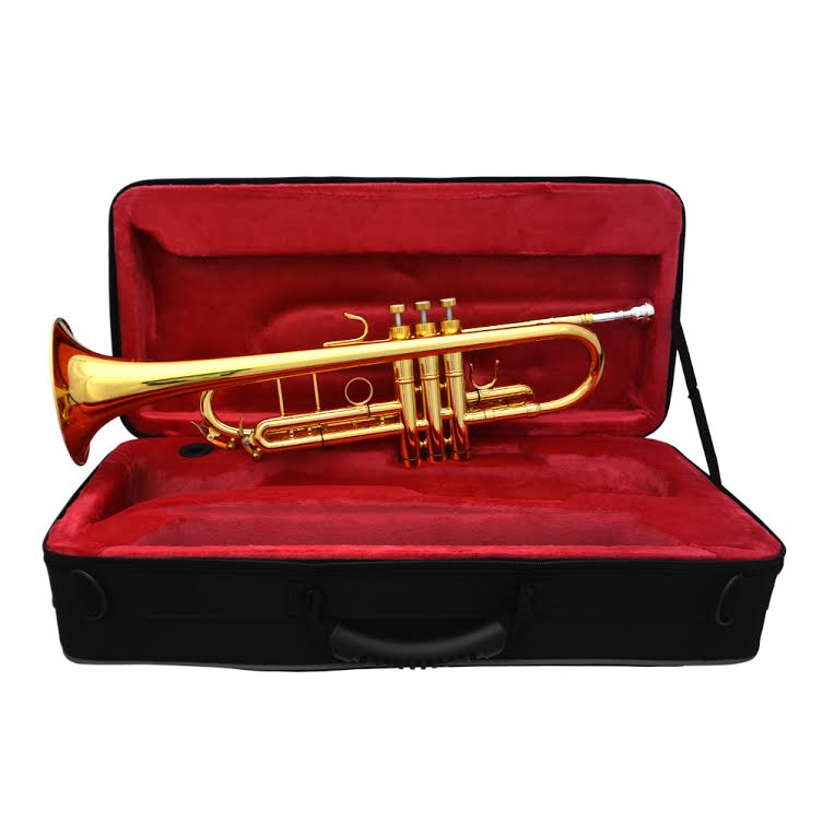 Schiller Frankfurt Elite Custom Trumpet Gold Plate