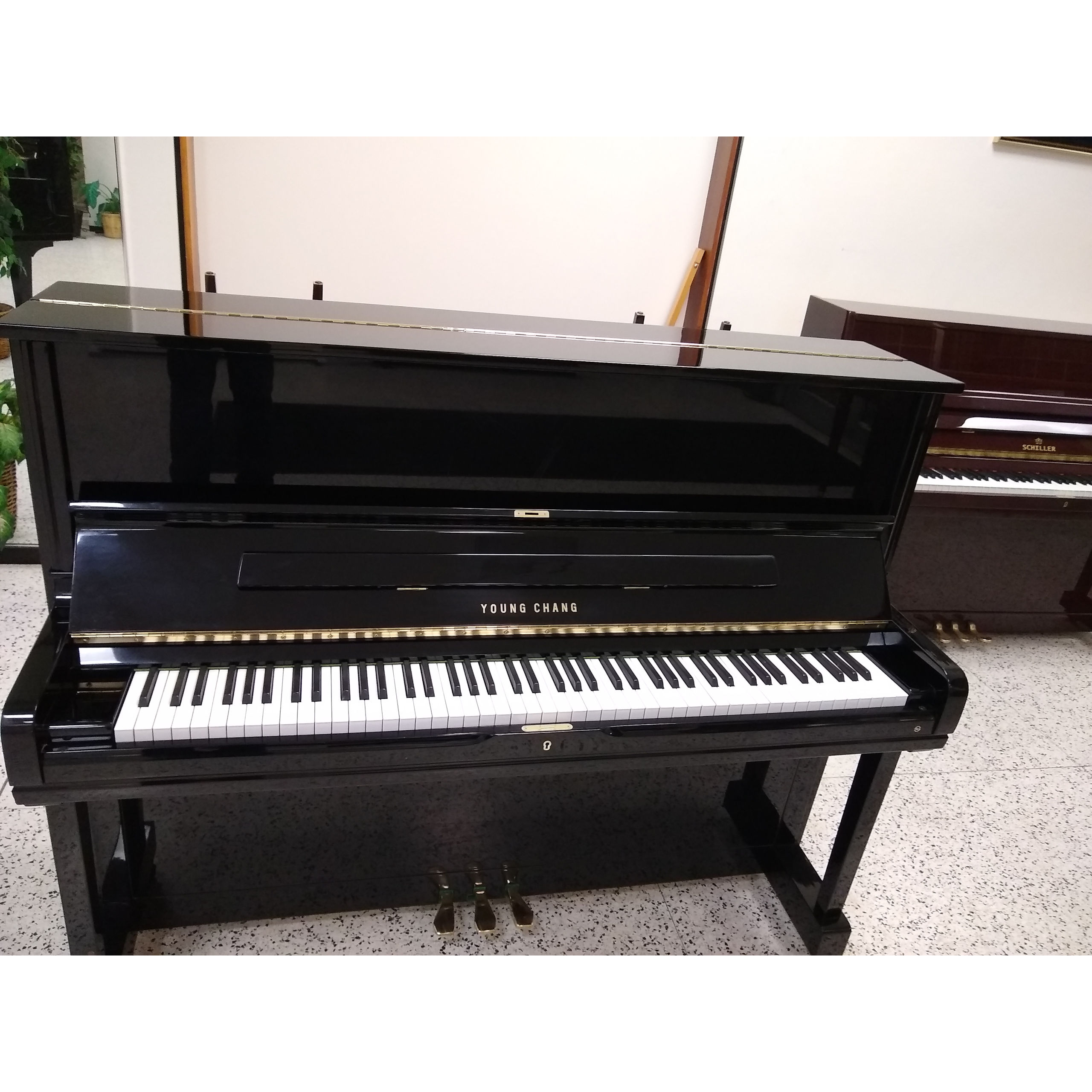 Young Chang Professional Upright Piano