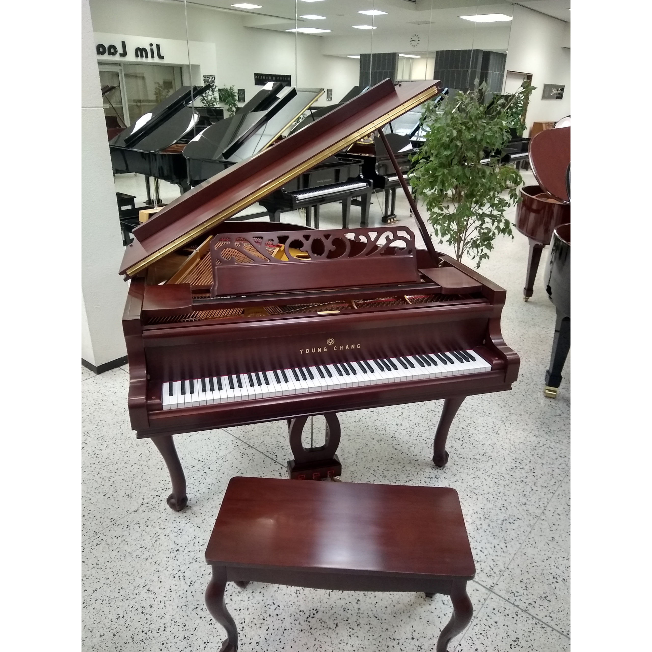 Young Chang Grand Piano - LTD Decorator Cherry