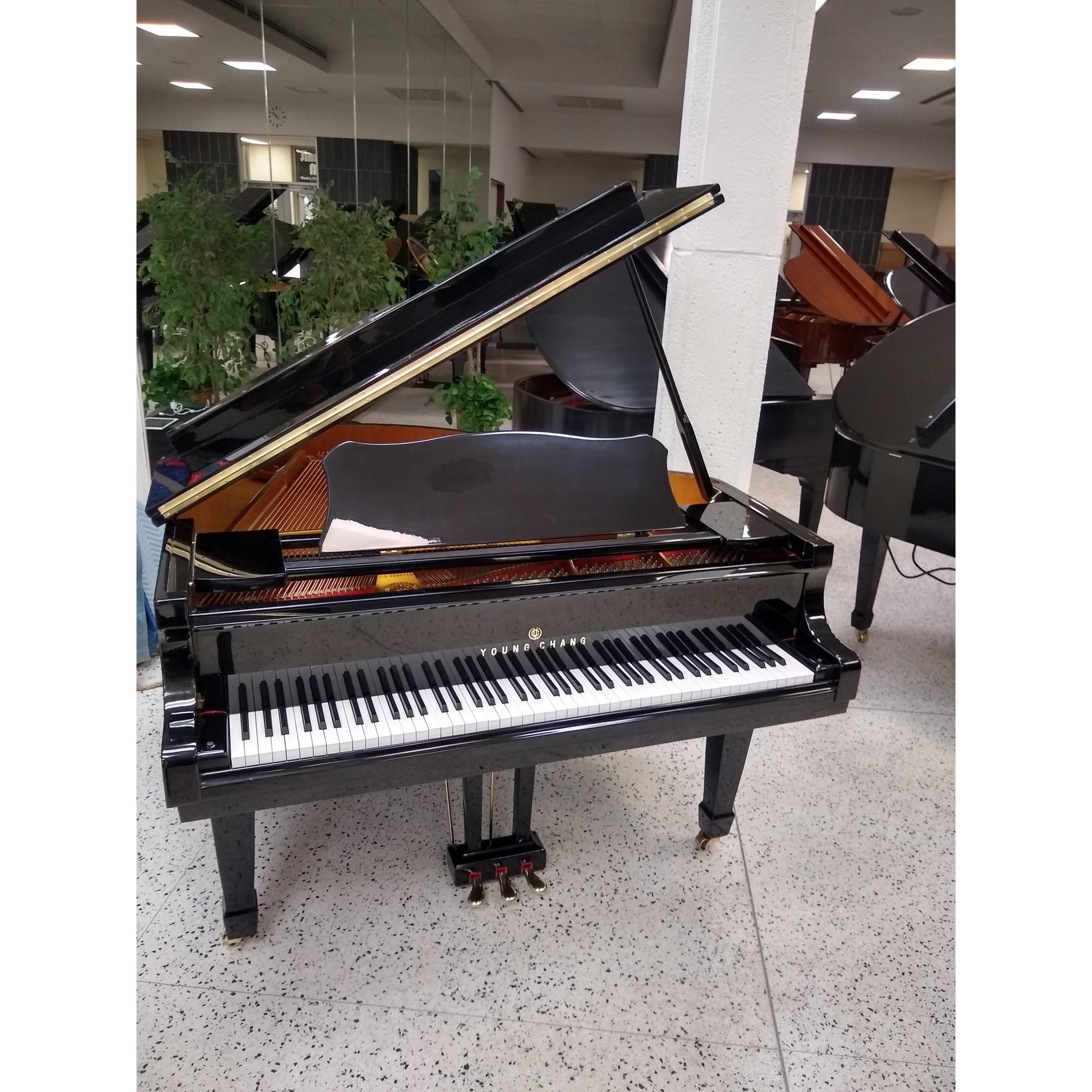 Young Chang Baby Grand Piano - Jim Laabs Music Store