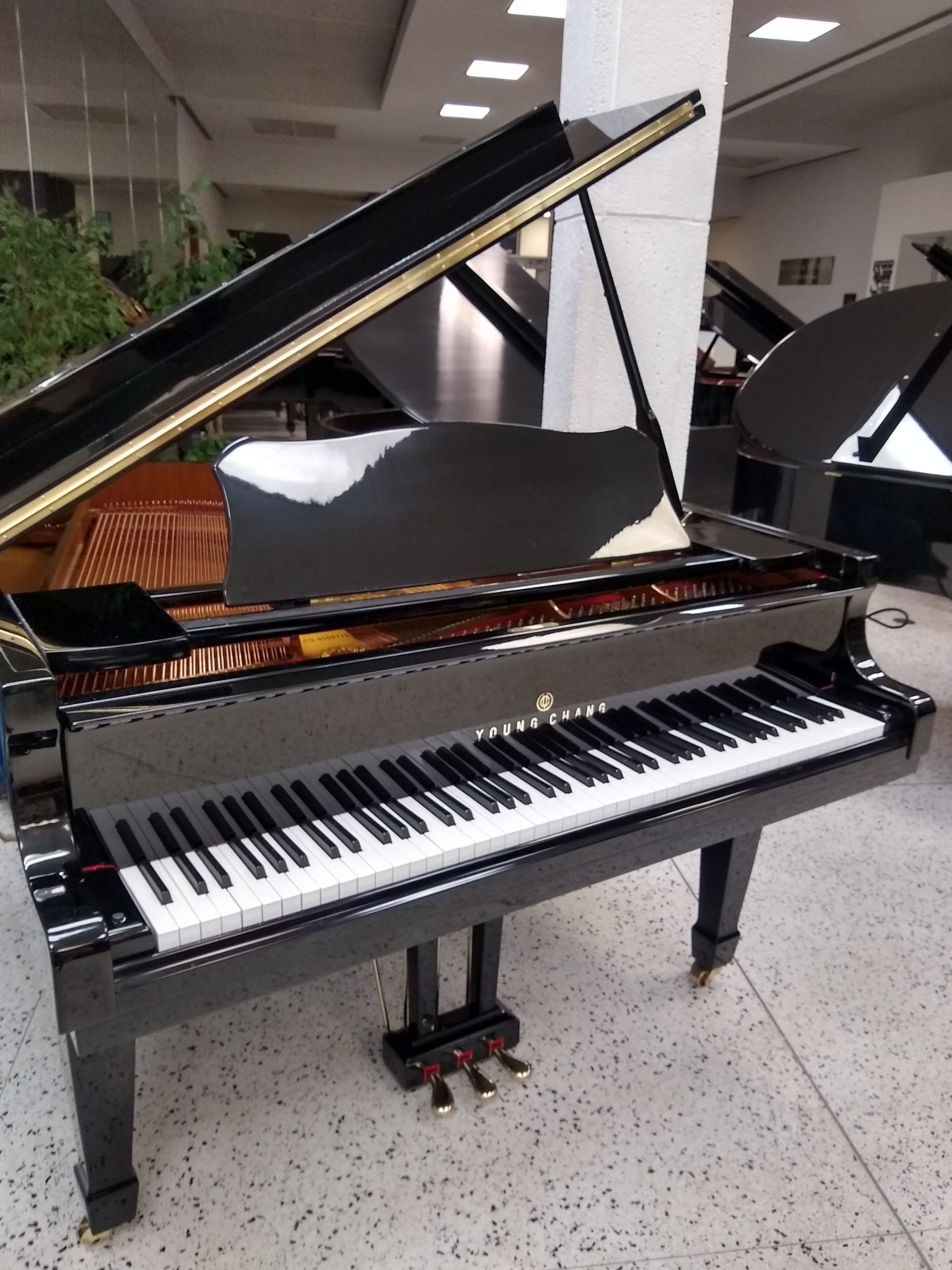 Young Chang Baby Grand Piano - Jim Laabs Music Store