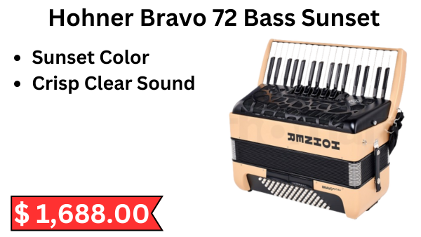 Accordion-Sale_2024_15