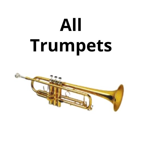 shop piano accordions