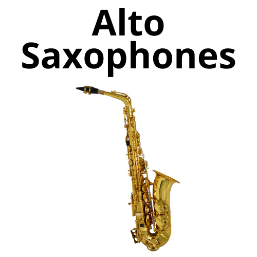 shop chromatic accordions