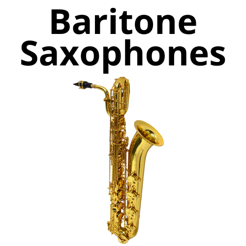 shop electronic accordions