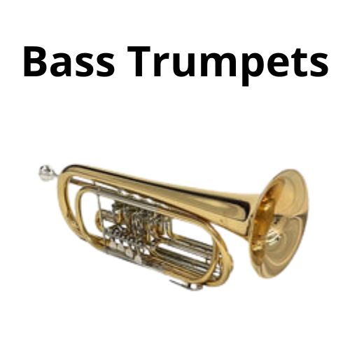 shop accordion accessoriess