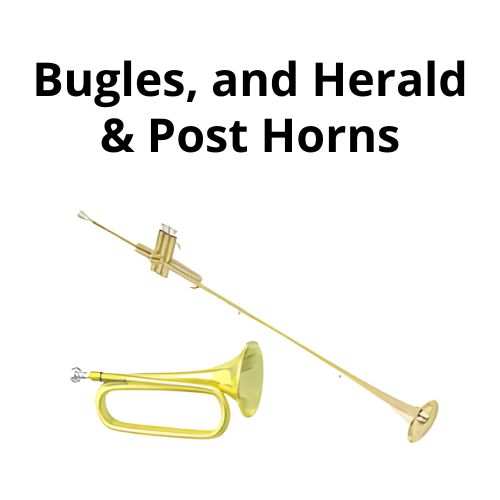 shop accordion accessoriess