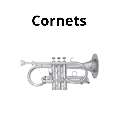 shop accordion accessoriess