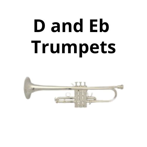 shop electronic accordions