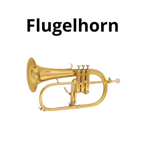 shop accordion accessoriess