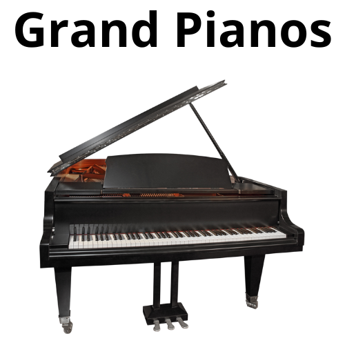 shop piano accordions