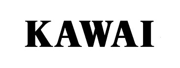 shop piano accordions