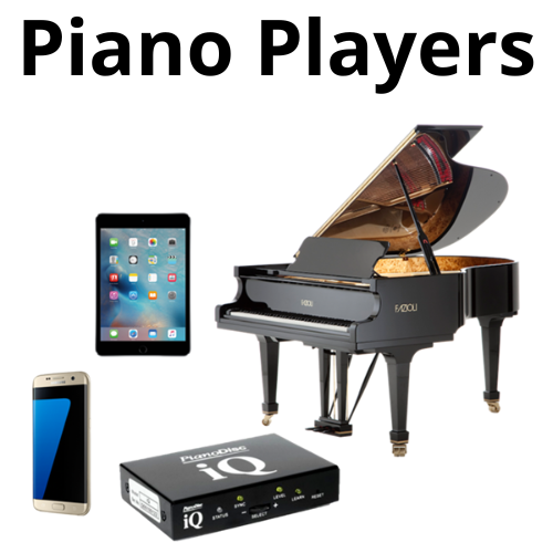 shop electronic accordions