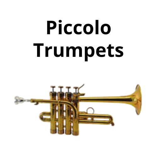 shop accordion accessoriess