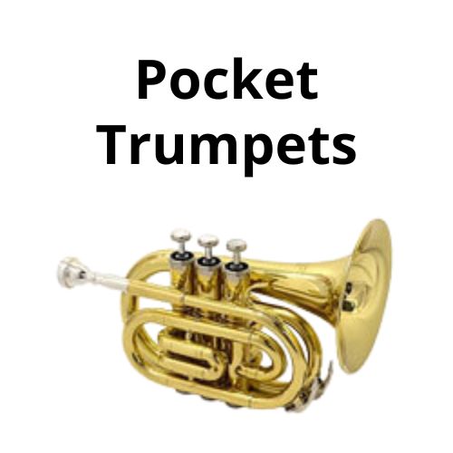 shop accordion accessoriess