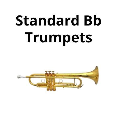 shop chromatic accordions