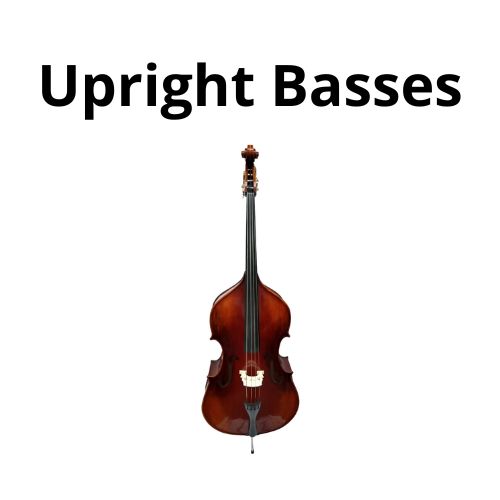 upright basses