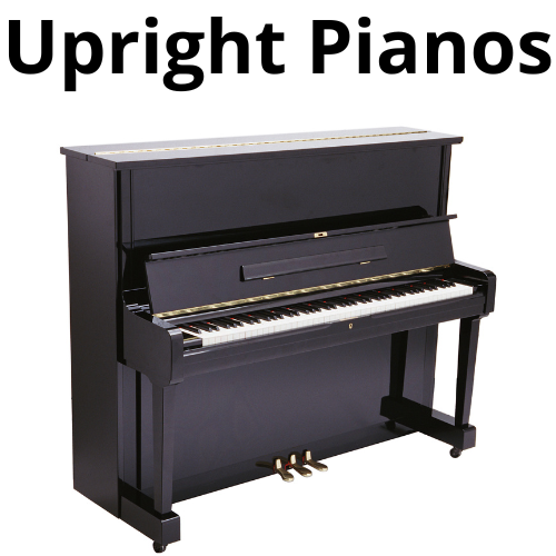 shop chromatic accordions