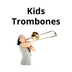 shop electronic accordions