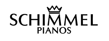 shop piano accordions