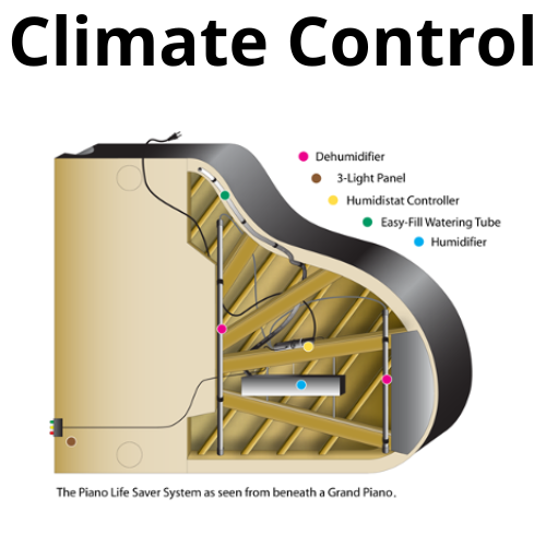 shop New Digital Pianos 