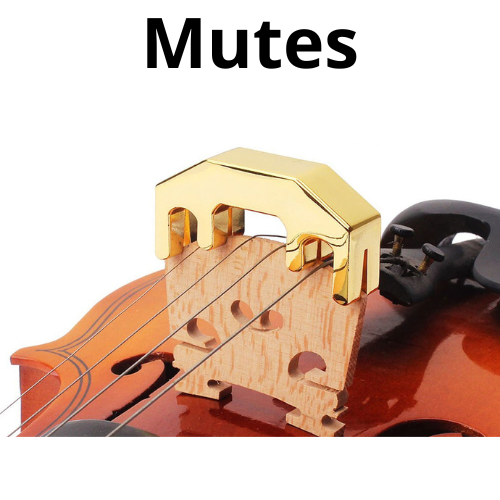 shop New Digital Pianos 