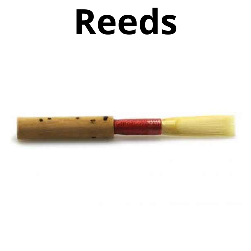 shop piano accordions