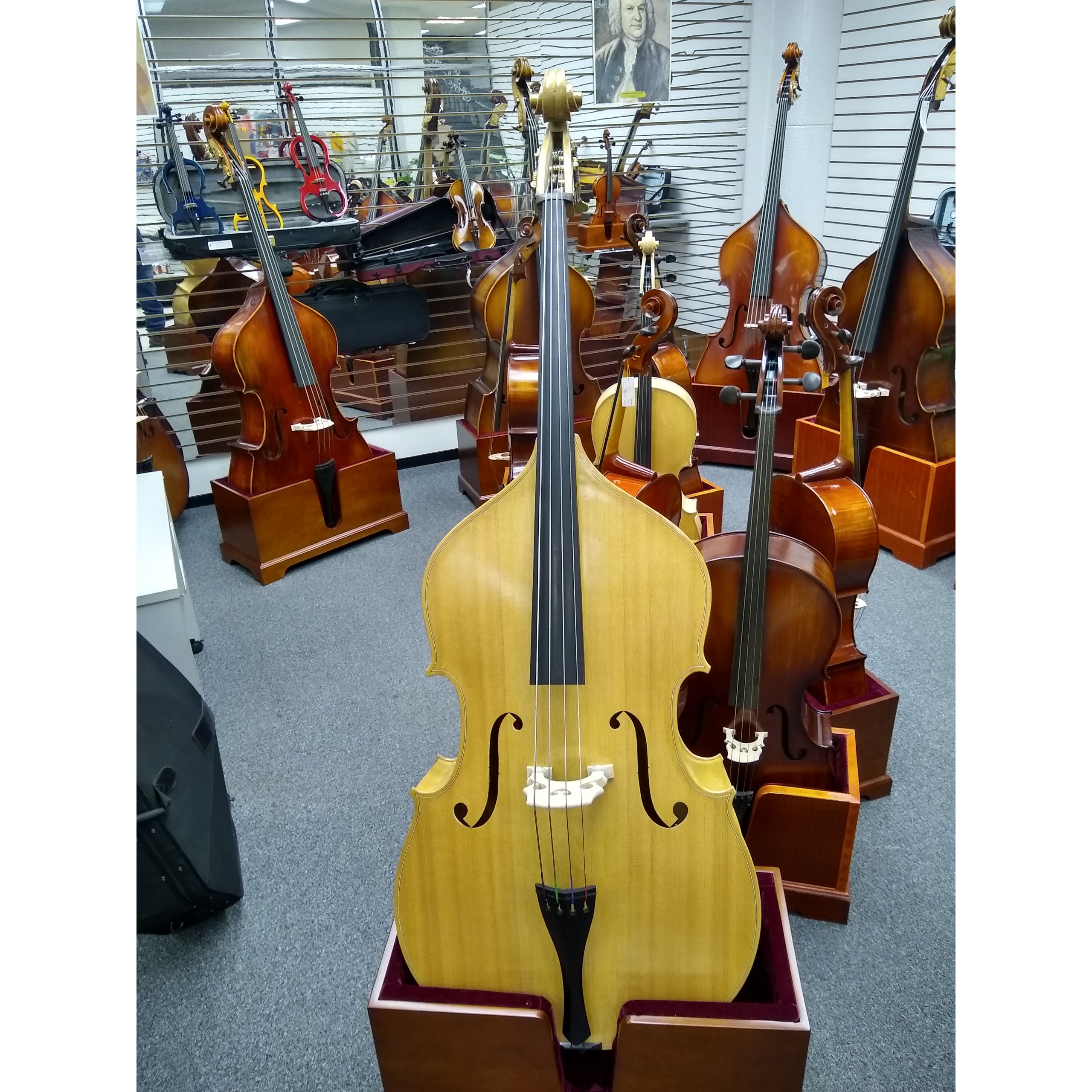 Vienna Strings Special Edition Blonde 1/2 Bass - Jim Laabs Music Store