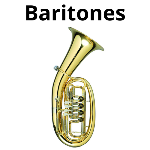 shop Brass and Woodwind Instruments 