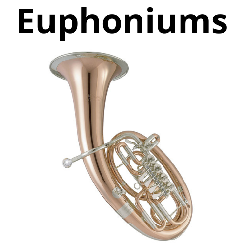 shop Brass and Woodwind Instruments 