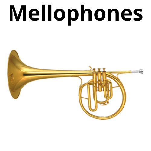shop Brass and Woodwind Instruments 