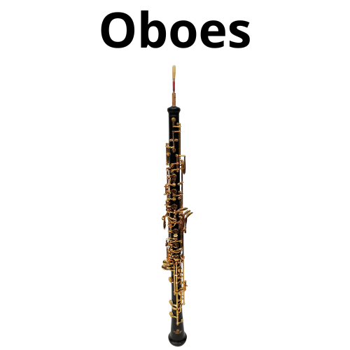 shop Brass and Woodwind Instruments 